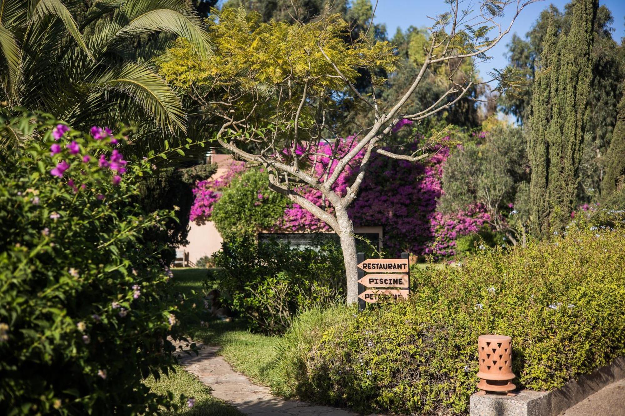 Bed and Breakfast Dar Maktoub Агадир Экстерьер фото